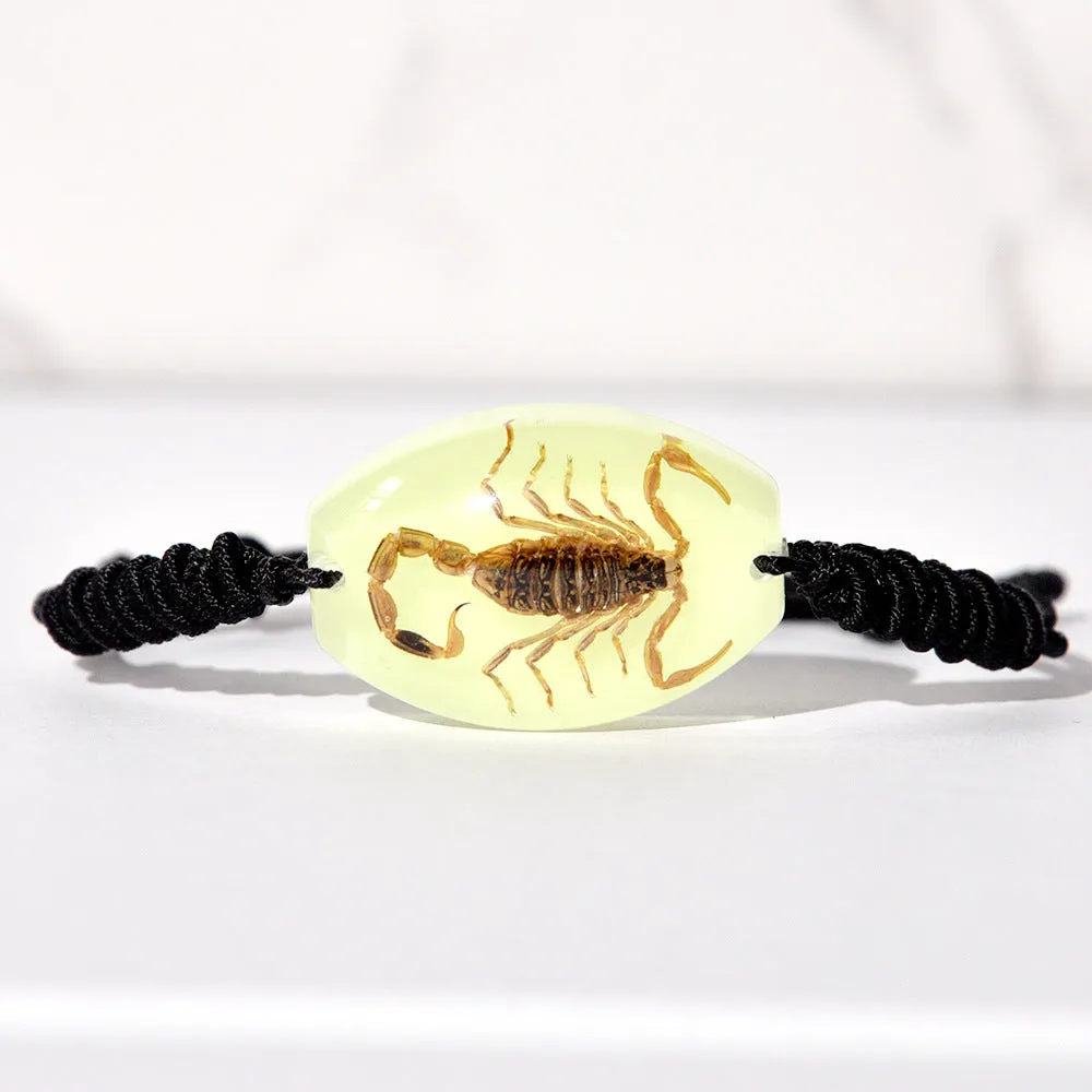 Wholesale High Transparent Resin Insect Amber Woven Bracelet