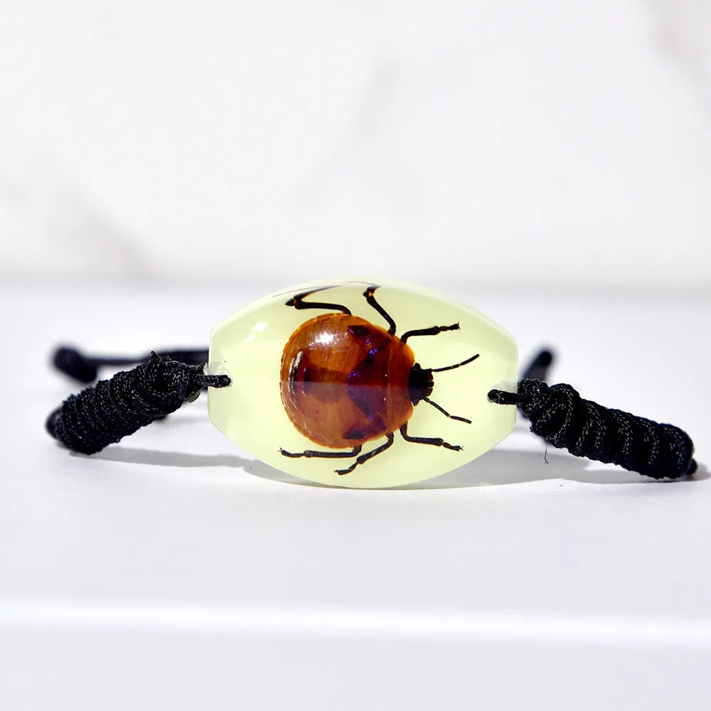 Wholesale High Transparent Resin Insect Amber Woven Bracelet